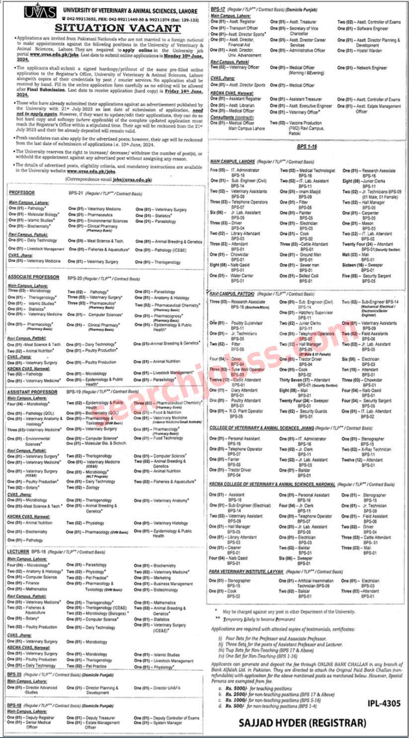 Latest University of Veterinary and Animal Sciences UVAS Jobs 2024