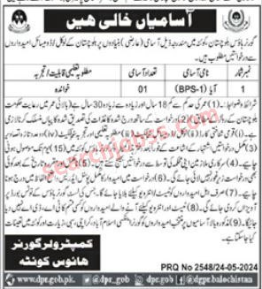 Latest Governor House Balochistan Jobs June 2024 Advertisement