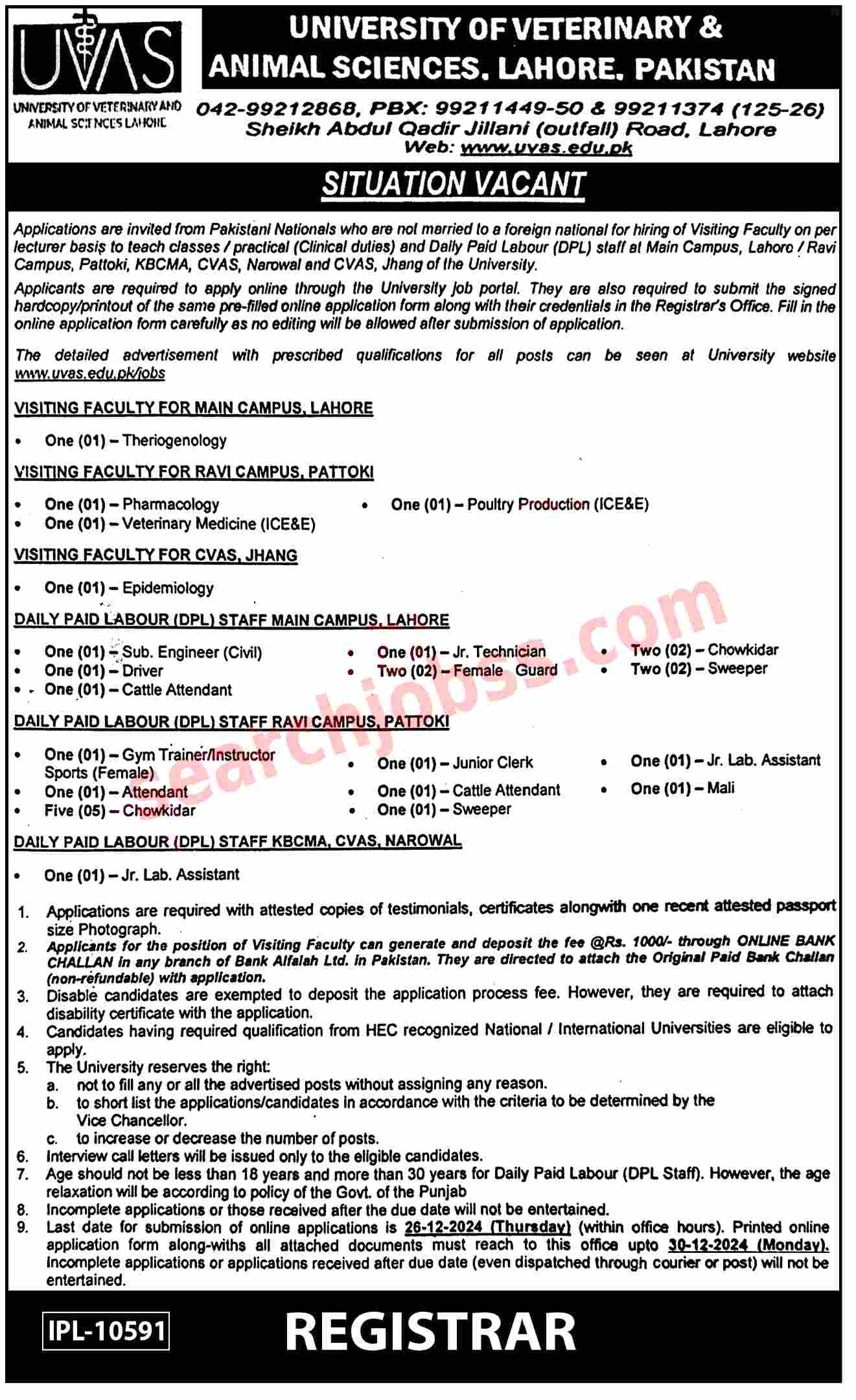 University of Veterinary and Animal Sciences Jobs 2024