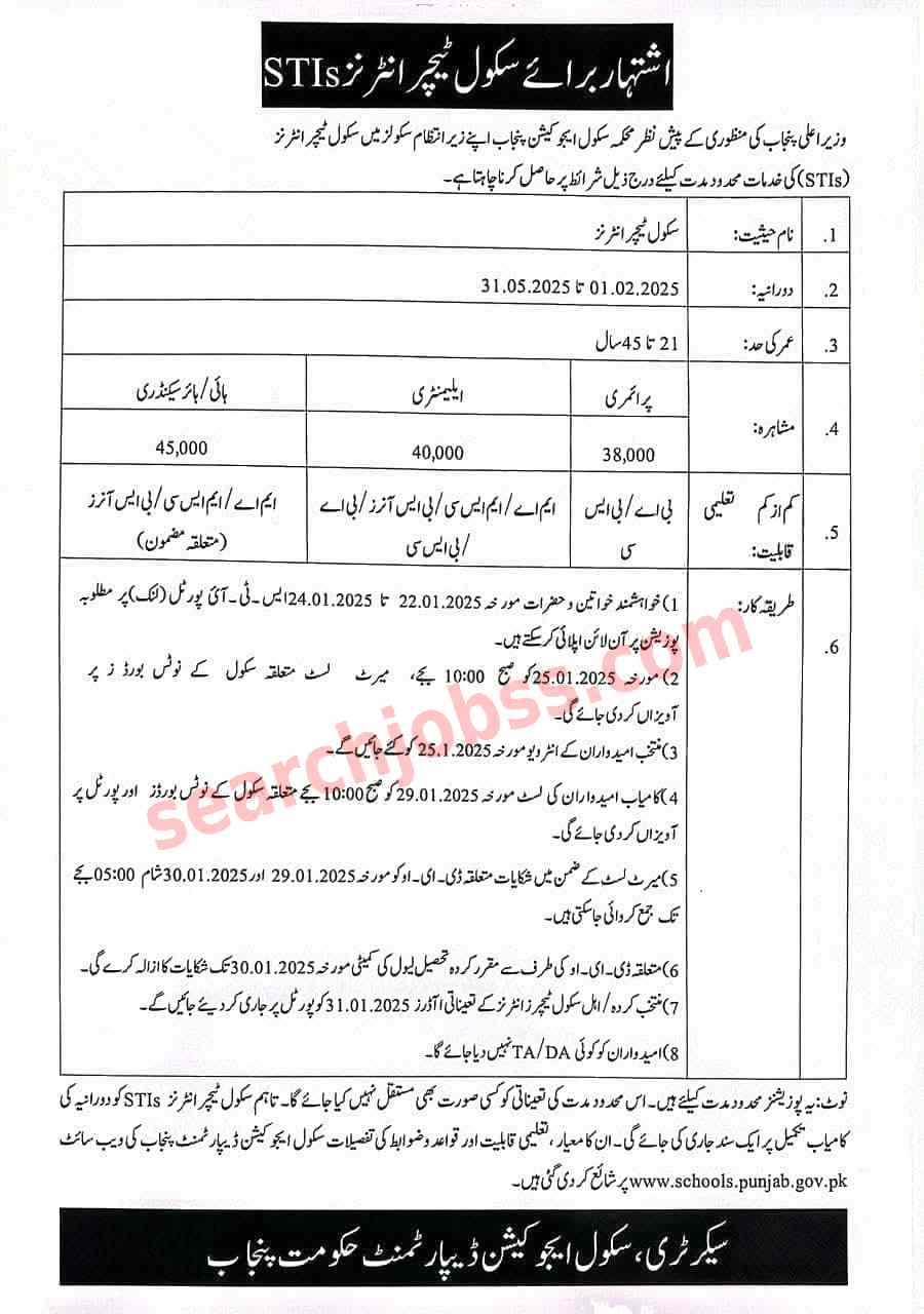 School Teacher Interns STIs Jobs 2025