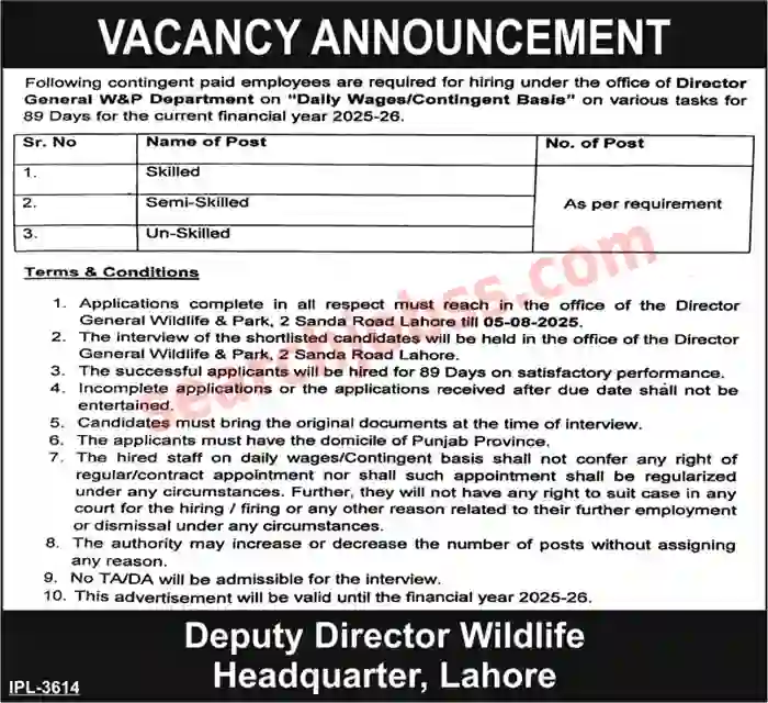 Wildlife Division Lahore Labor Jobs 2025