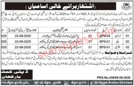 Board of Revenue Barkhan Jobs August 2025 - Apply Now