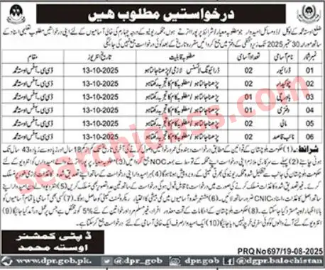 Deputy Commissioner District Office Usta Muhammad Jobs 2025